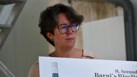 Nyári borkóstoló a pincészetnél 2024
