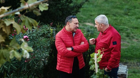 Cseri szüreti afterparty 2024
